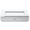 Scanner Professionnel à Plat WorkForce DS-50000 A3