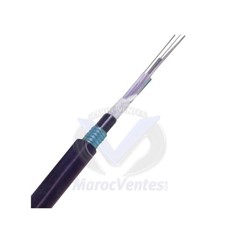 CABLE FO 12 BRINS SM OS2 9/125 ARMEE LINXCOM