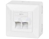 PRISE INFORMATIQUE CAT6 DOUBLE AVEC PLASTRON