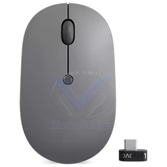 Souris sans fil USB-C Lenovo Go GY51C21210