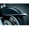 FRONT FENDER SIDE TRIM FLHX/FLTR/CVO